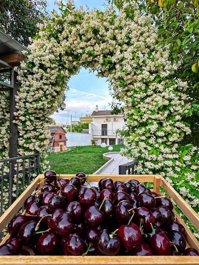 Villa Ardigo - Camera O Appartamento Bari Kültér fotó